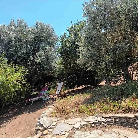 בית נופש Evia Sunrise Hillhouse Raptaíoi